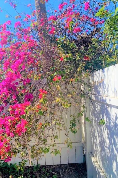 Bright And Beachy 2Bed 1Bath Home - Unit 210 可可比奇 外观 照片